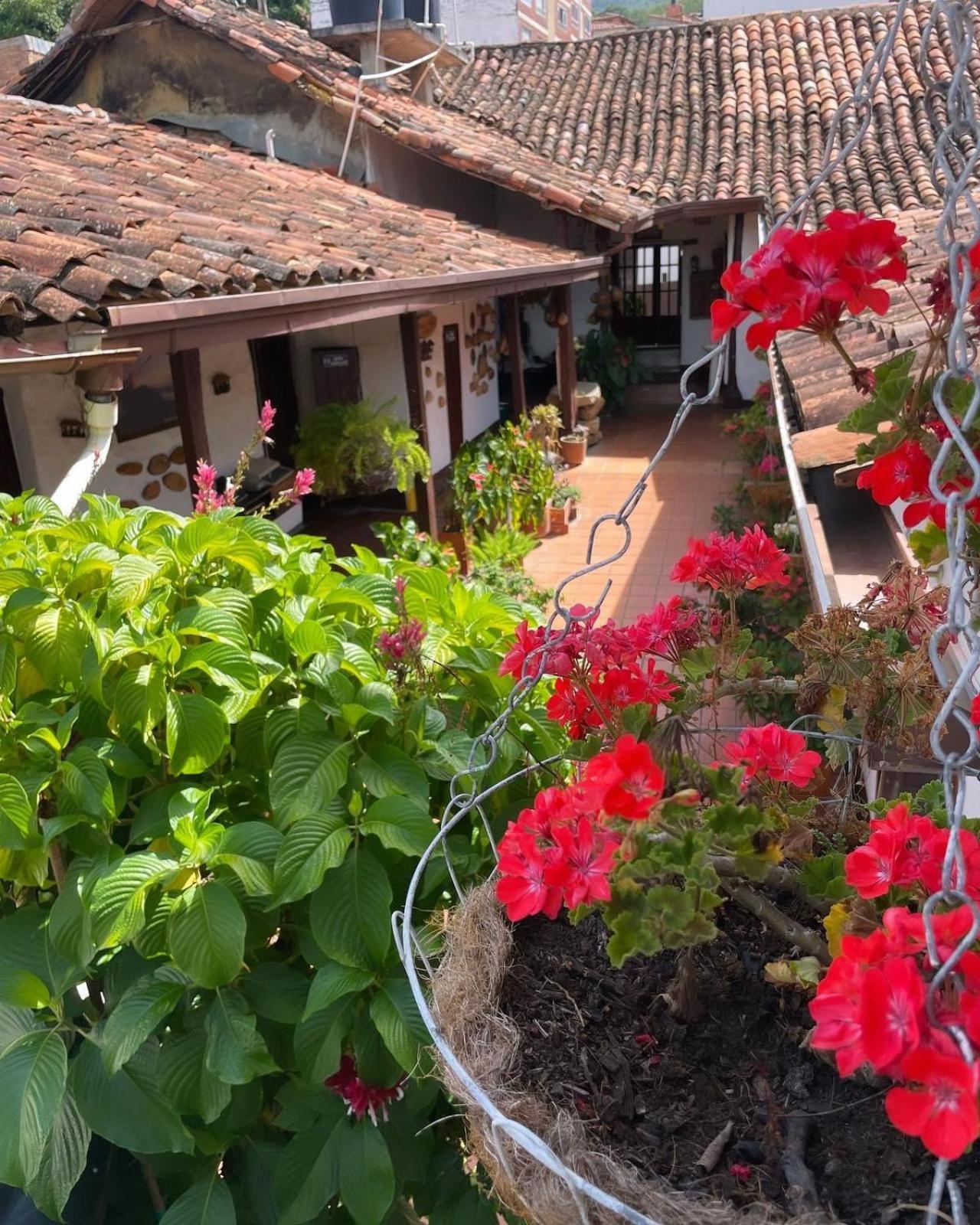 Hotel Casa Posada Don Chepe Сан-Хиль Экстерьер фото